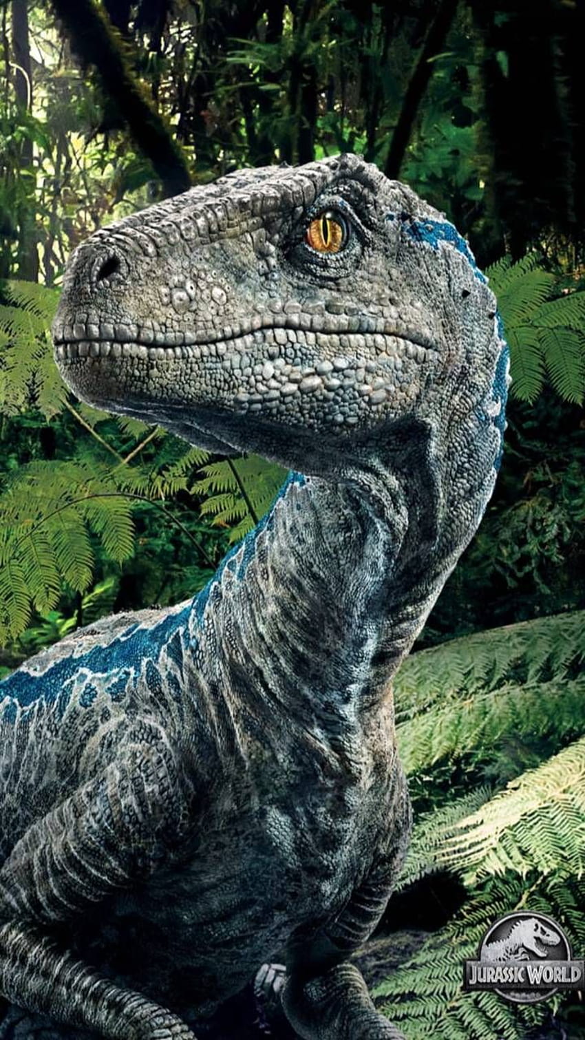 영리한 소녀의 JurassicWorld Blue - 지금은 괜찮습니다. 검색. 쥬라기 세계 포스터, 쥬라기 세계 공룡, 쥬라기 세계, 쥬라기 공원 벨로시랩터 HD 전화 배경 화면