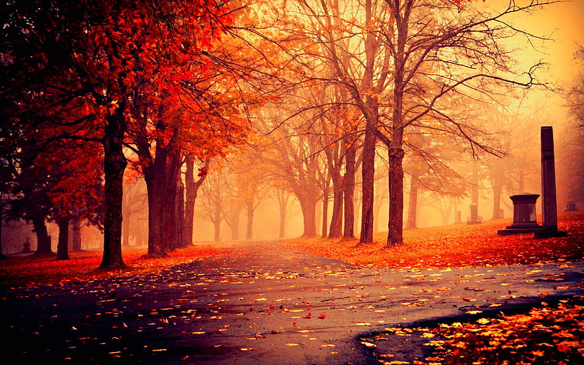 Page 3 | beautiful fall background HD wallpapers | Pxfuel