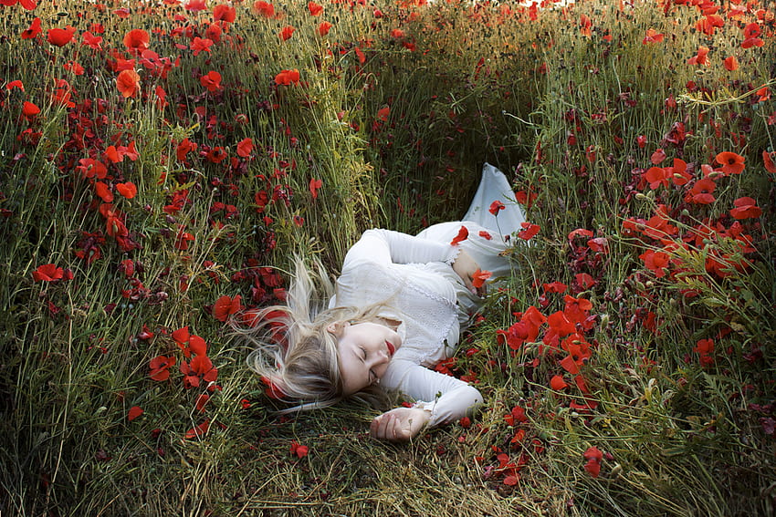 Tidur di ladang bunga poppy, bunga poppy, gadis, ladang, merah Wallpaper HD
