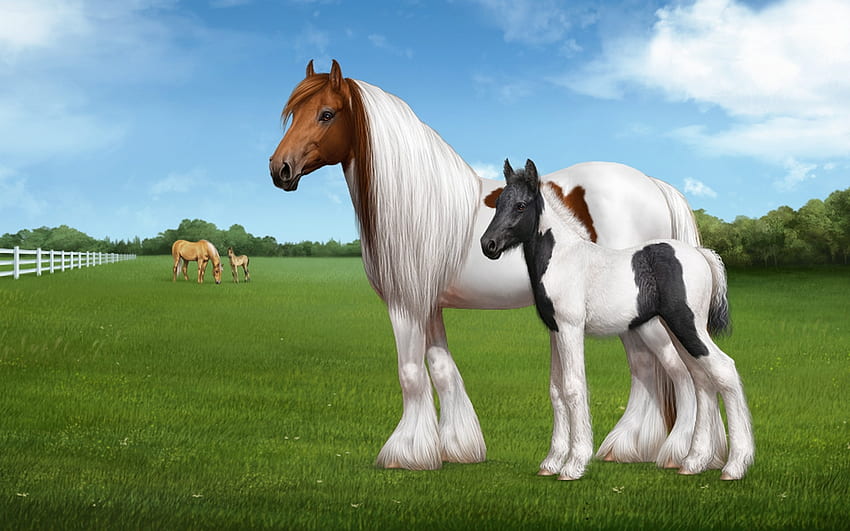 Kuda Cantik, Ibu, Putih, Cantik, Coklat, Rumput, Hitam, Bayi, Kuda Wallpaper HD