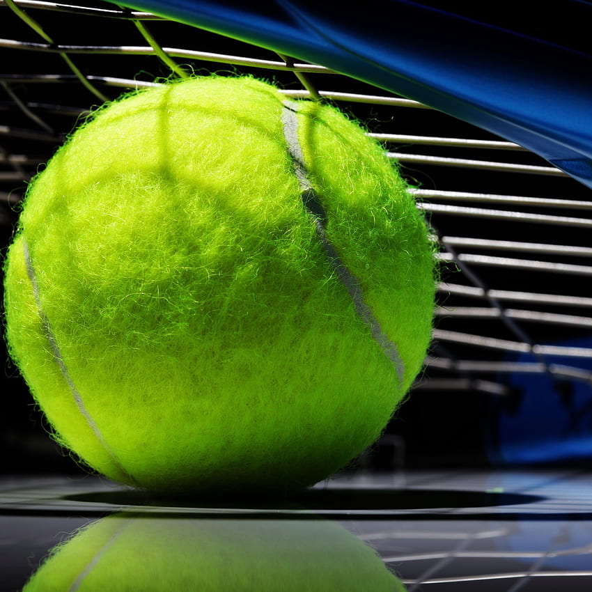 Hình nền  các môn thể thao Quần vợt Novak Djokovic Chức vô địch người  chơi ngươi chơi tennis Sự kiện cạnh tranh thể thao cá nhân trận bóng  3000x2161 px Môn