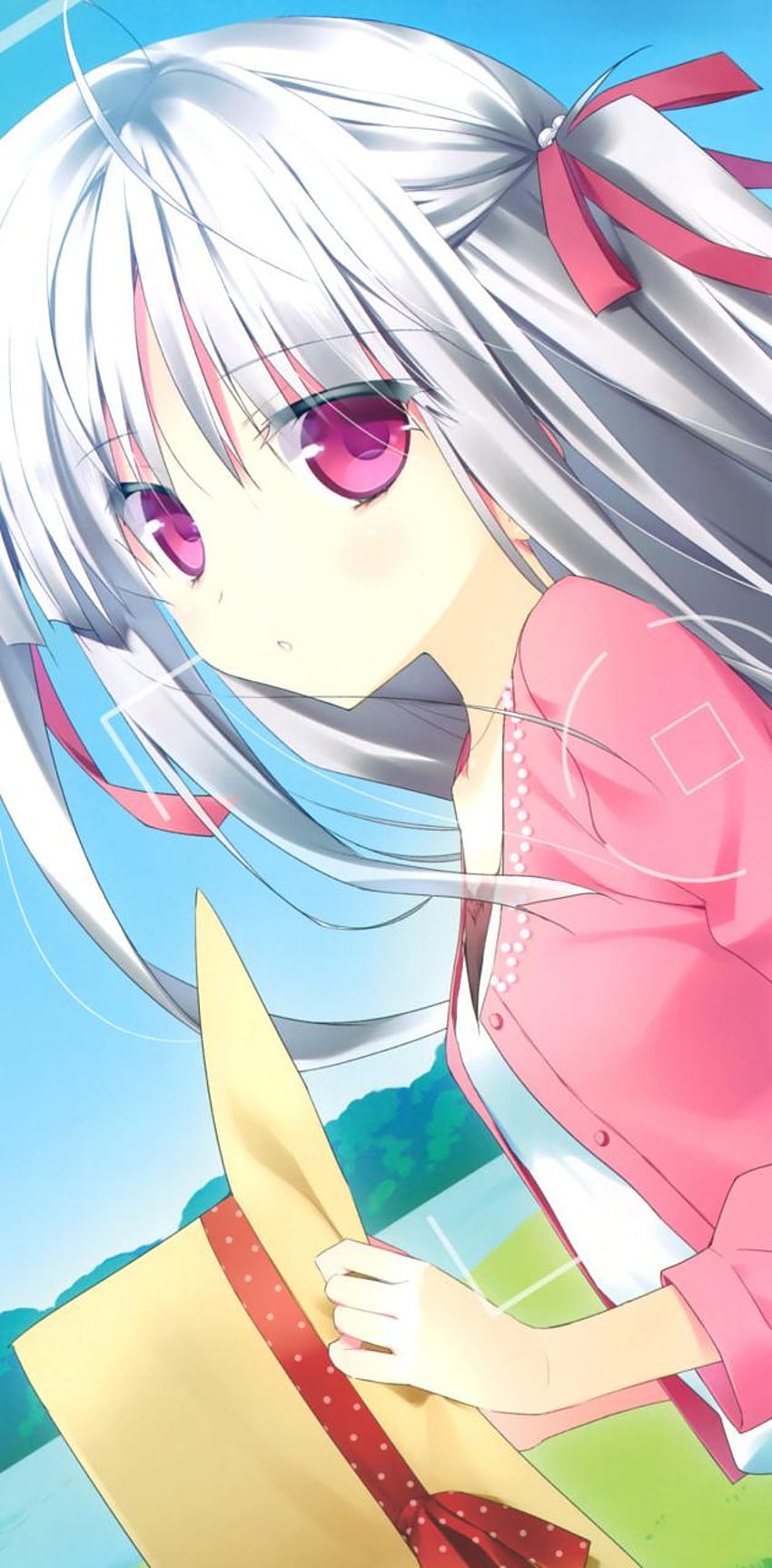 Pin on Anime: Absolute duo