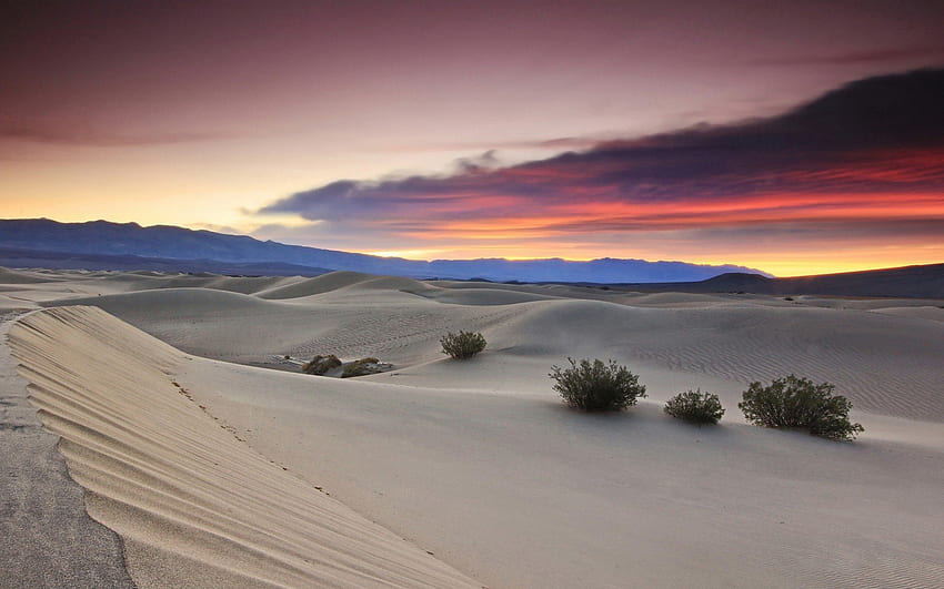 beau coucher de soleil sur le désert, nuages, buissons, désert, suset Fond d'écran HD