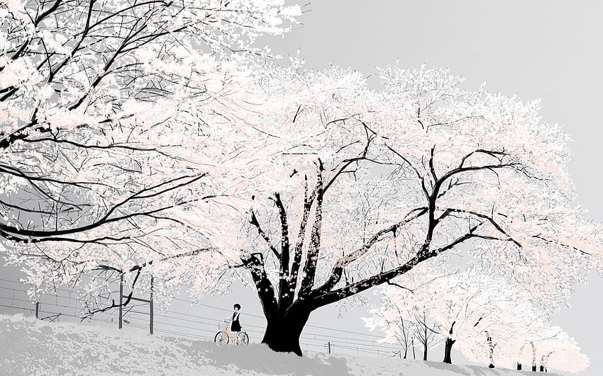 애니메이션, 나무, 그리고 흰색 - 눈 벚꽃 나무 -, 흰색 사쿠라 HD 월페이퍼