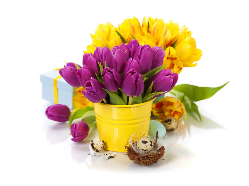 Tulips, purple, yellow, easter, flowers, spring, eggs HD wallpaper