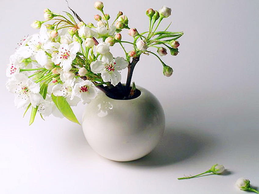Wiosenna biel, zielone liście, aranżacja, biały wazon, białe kwiaty Tapeta HD