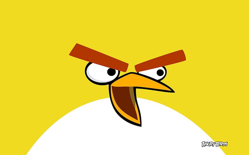 Pássaro amarelo em Angry Birds - Angry Birds Chuck -, Cute Angry Birds papel de parede HD