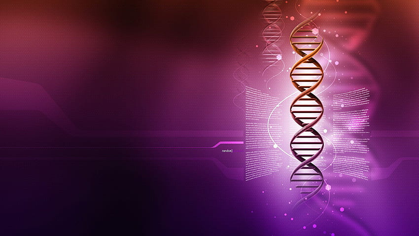 dna, 3 d, Structure, Molecule, Pattern, Abstraction, Genetic HD wallpaper