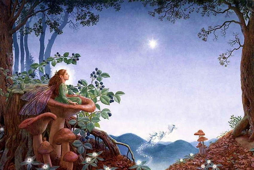 Starlight Fairy, artwork, trees, mushrooms, lights HD wallpaper