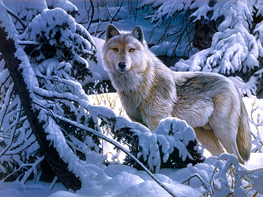 동물, 늑대 HD 월페이퍼