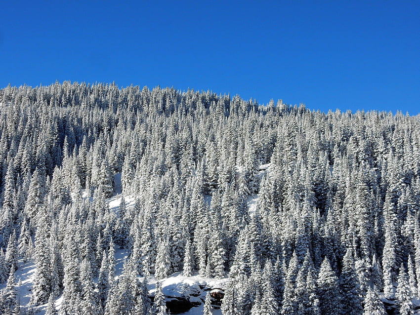 Vail for your or mobile screen and easy to, Vail Colorado HD wallpaper ...