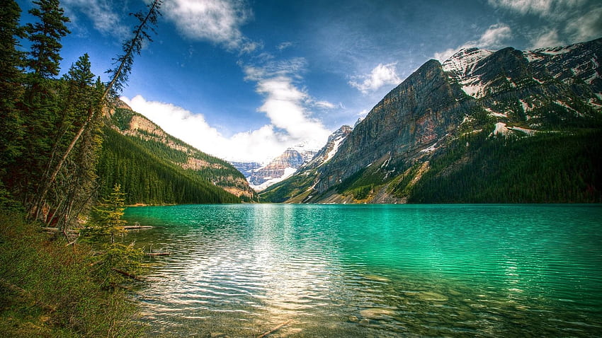 Lake Louise . Louise Orleans, Louise Nichole Chrysanthemum and Louise ...