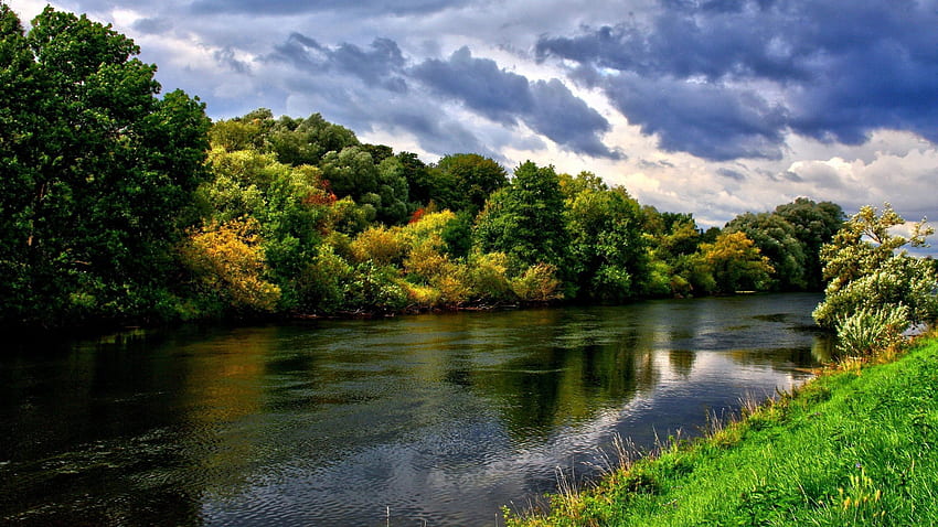 Nature, Rivers, Trees, Summer, Greens HD wallpaper
