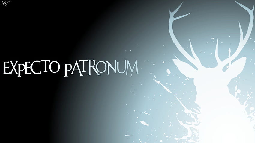 Harry Potter ve Arkaplan , Harry Potter Patronus HD duvar kağıdı
