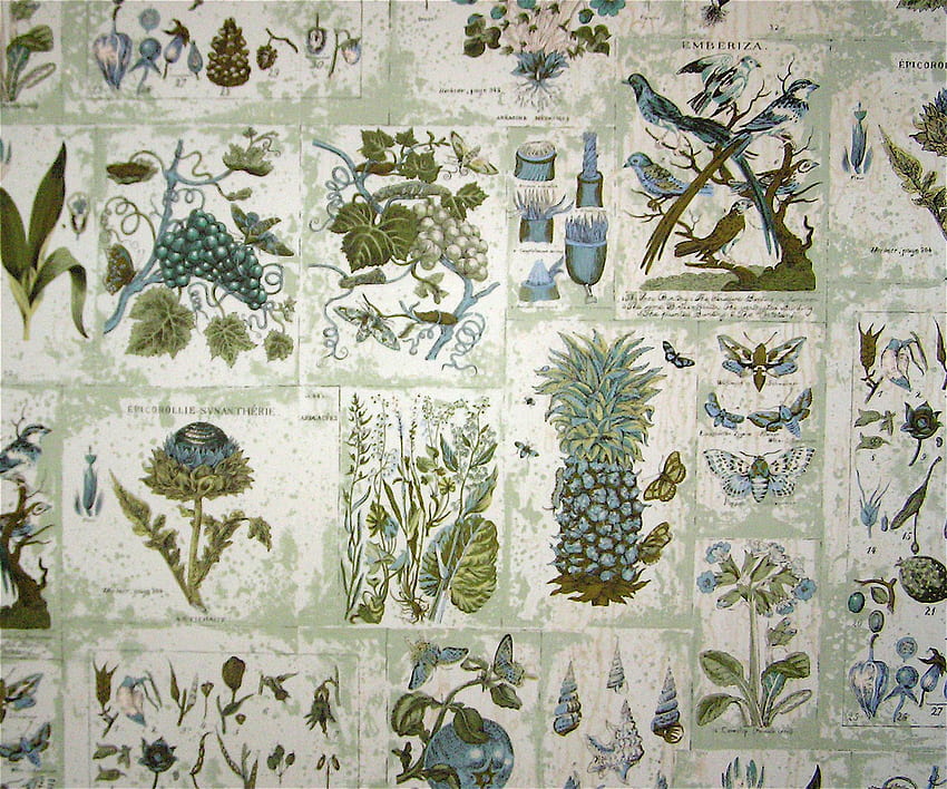 Botanist . Botanist HD wallpaper