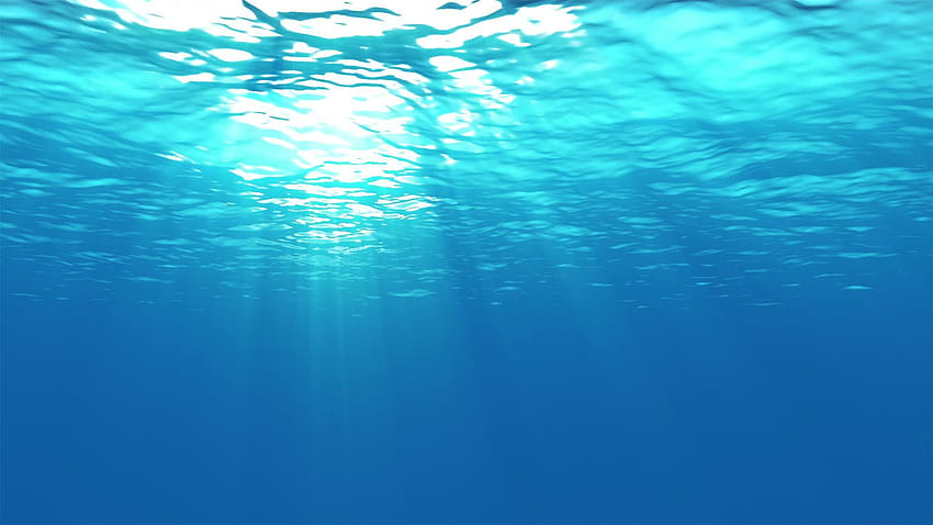 Bawah air. Bawah Air, Permukaan Air Wallpaper HD