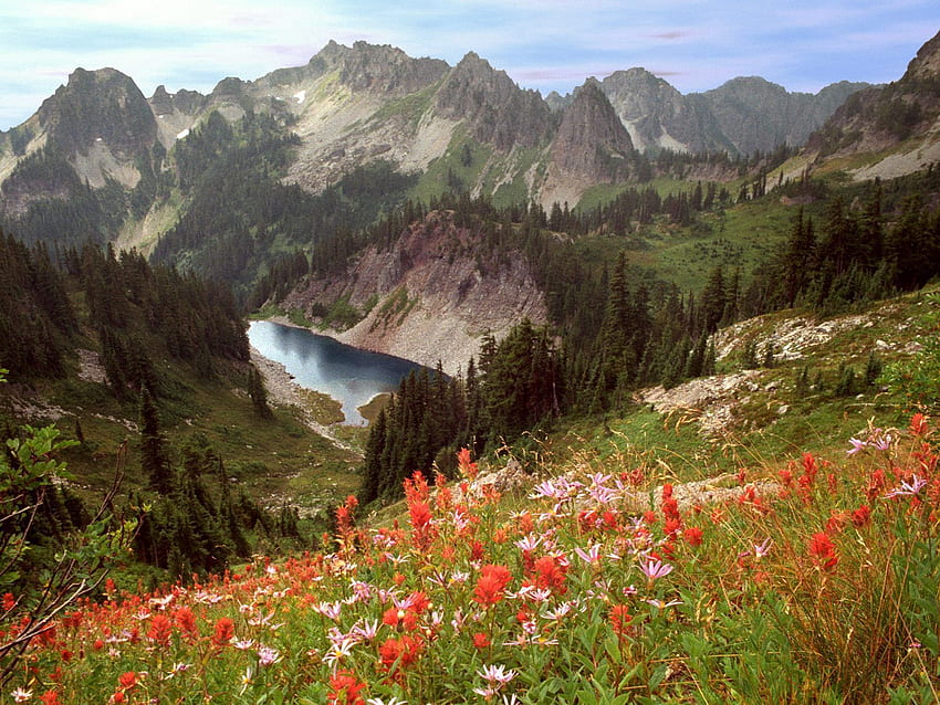 Naturaleza, flores, árboles, montañas, lago, Idaho, Cliff Lake fondo de pantalla