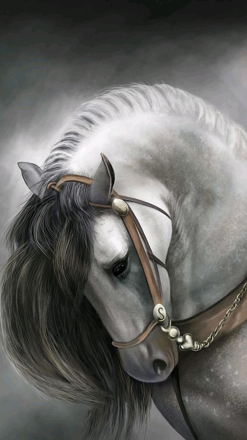 Withe Horse, caballo, putih, alam, hitam, binatang, blanco, binatang wallpaper ponsel HD