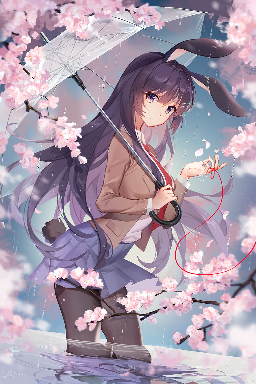 Sakurajima Mai, Azusagawa Sakuta - Zerochan Anime Image Board