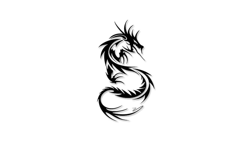 Dragon Symbol and Background HD wallpaper | Pxfuel