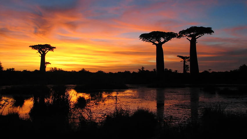 Национален парк Киринди, Мадагаскар. Студио 10, пейзаж на Мадагаскар HD тапет