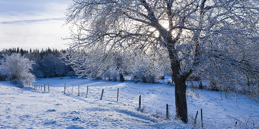 Kışın Sırt Ağrısı Nasıl Giderilir? Tezgah ve Yaprak Uyku Blogu, Eski Kış Manzaraları HD duvar kağıdı