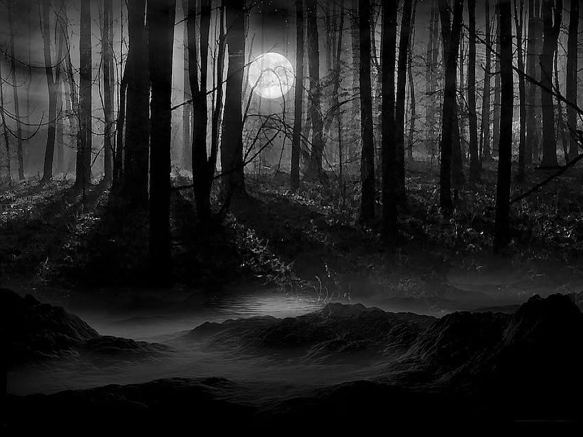 Floresta escura com lua, laptop floresta escura papel de parede HD
