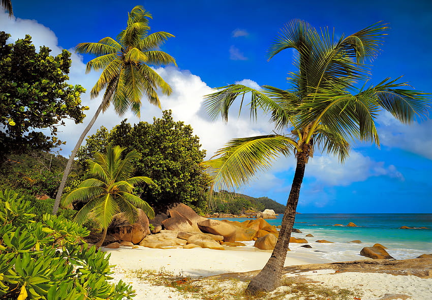 Остров Праслин, остров, море, палми, Сейшели, екзотика, рай, камъни, плаж, ваканция, лято, почивка, пясък, небе, красив, океан HD тапет