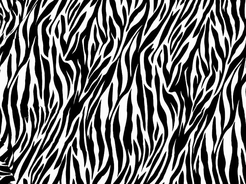 Siyah Beyaz Leopar Desenli Arka Plan (Sayfa 1), Siyah Beyaz Hayvan Desenli HD duvar kağıdı