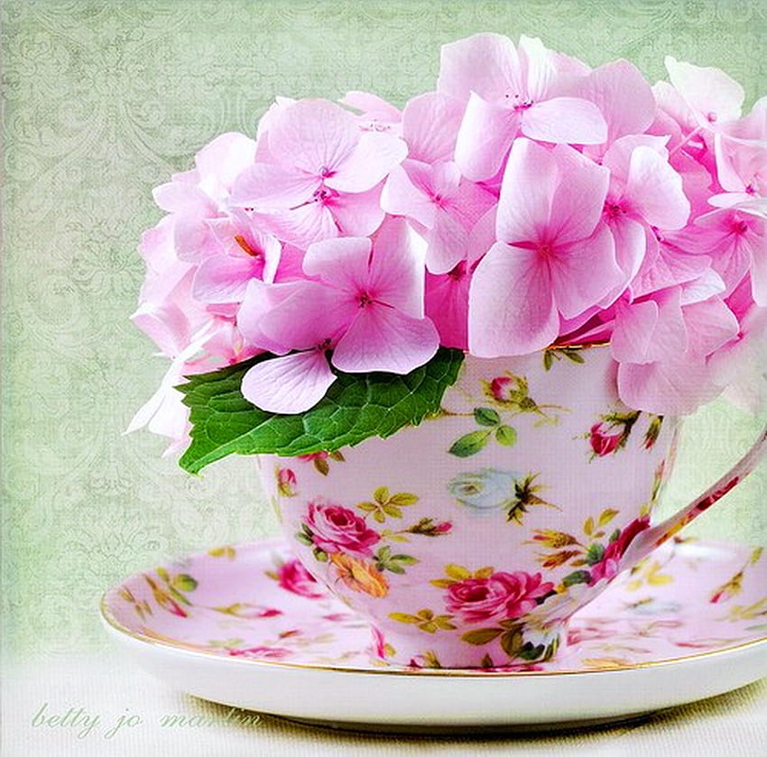 Taza dulce, flores rosadas, flores, taza, taza y platillo. fondo de pantalla