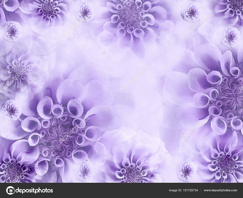 Light Purple Flower Background - Floral Light Violet Background -, Lavender Floral  HD wallpaper | Pxfuel