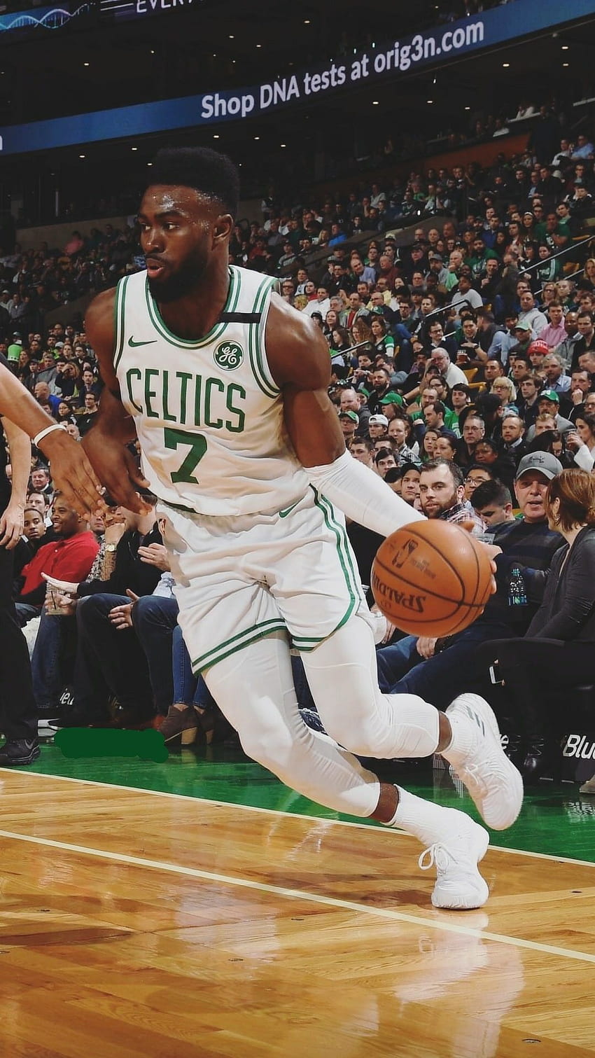 Jaylen Braun. Basketball, Celtics-Basketball HD-Handy-Hintergrundbild