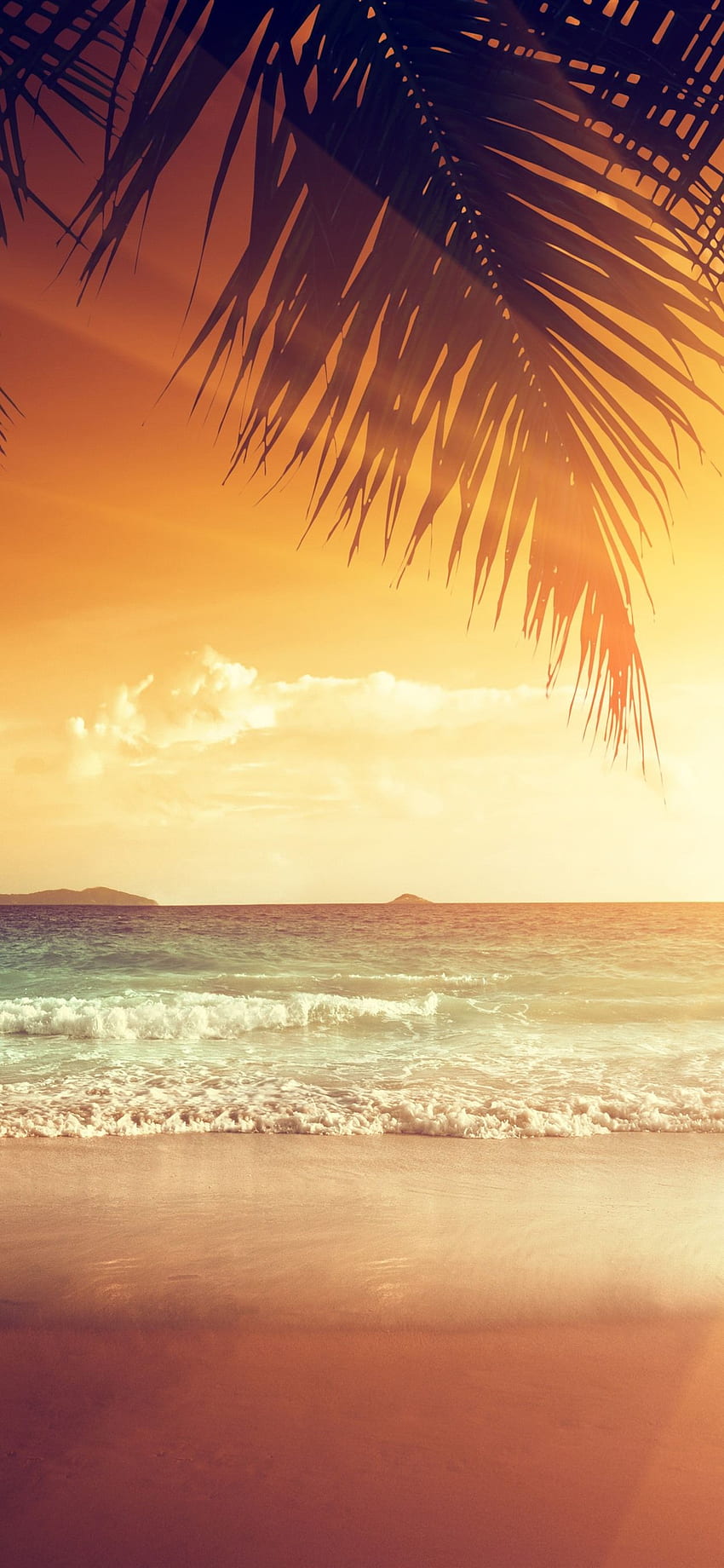 Красив залез, палмови листа, плаж, море, тропически, лято U ,, Tropical Leaf HD тапет за телефон