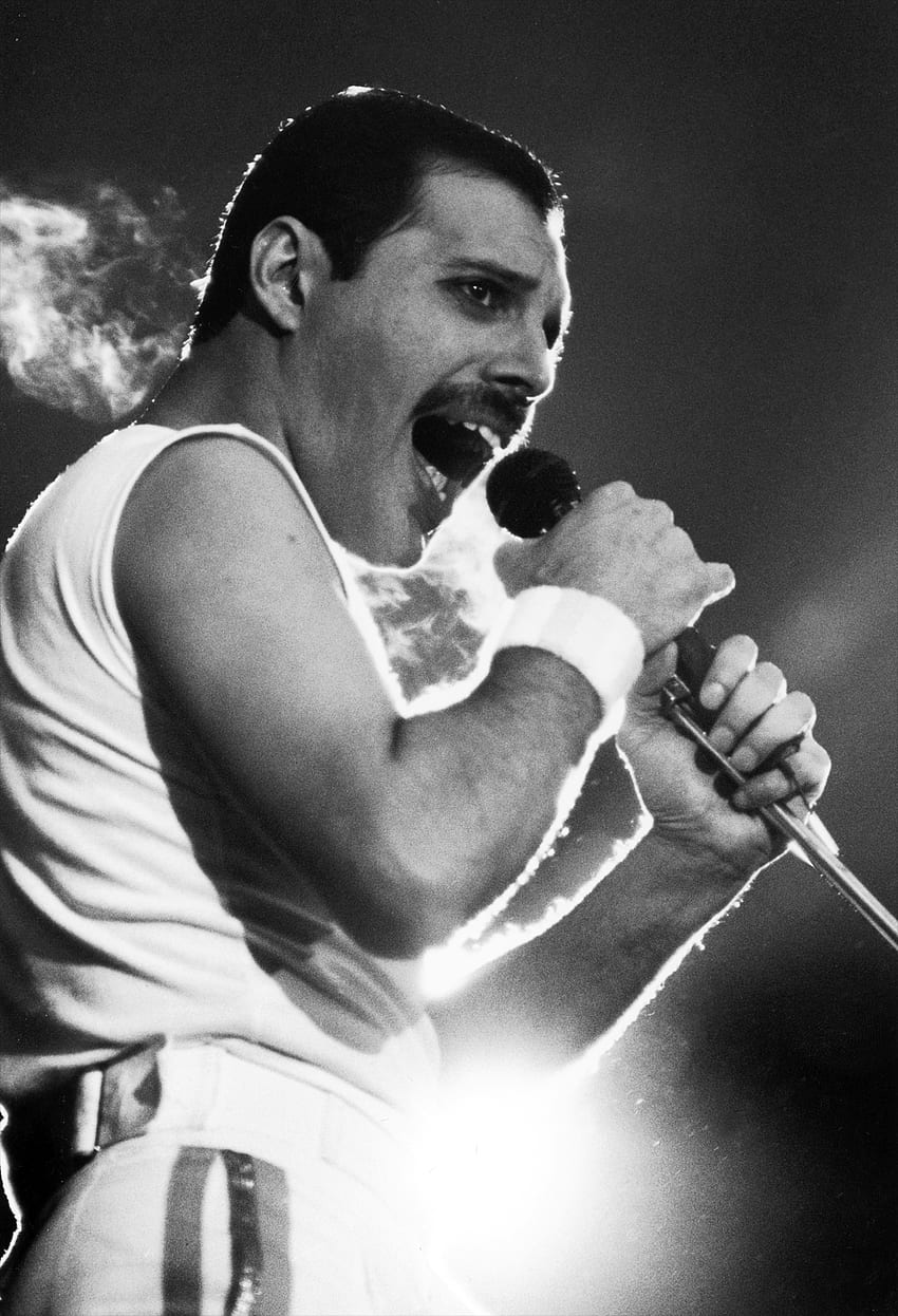 Freddie Mercury , Music, HQ Freddie Mercury . 2019 HD phone wallpaper