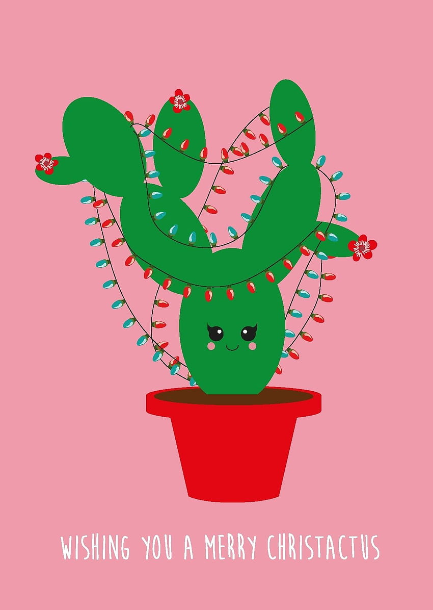 Christmas With Cactus , Christmas Succulents HD phone wallpaper