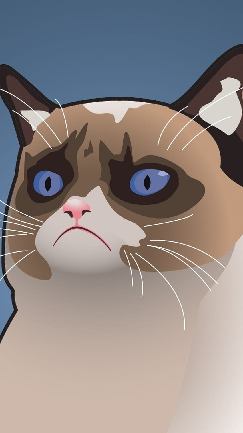 Funny Memes, Grumpy Cat HD phone wallpaper