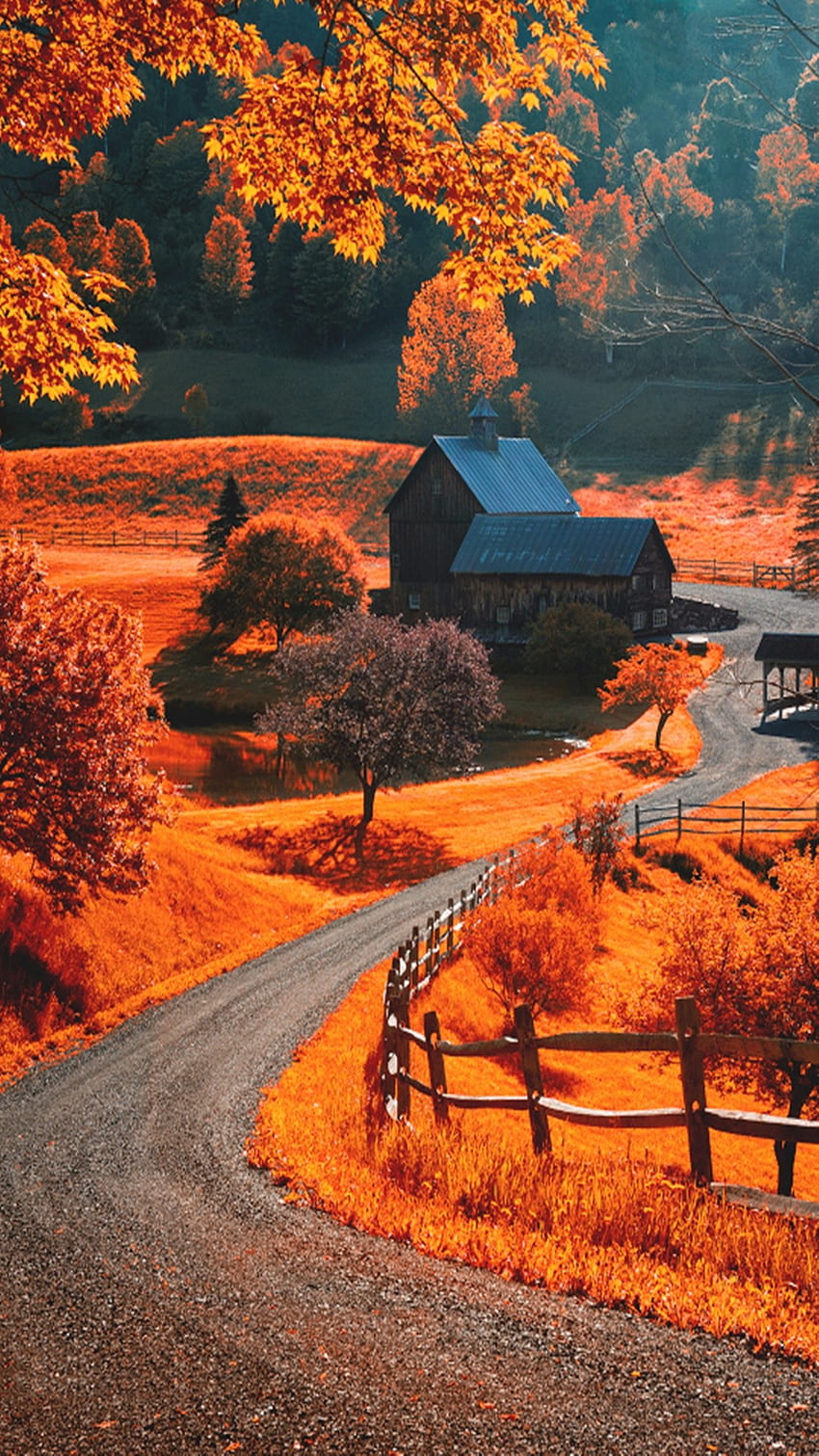 秋の風景 iPhone / ロック画面の背景。 タップしてもっと見る 美しい風景 HD電話の壁紙