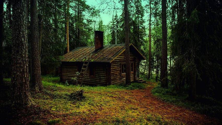 Forest cabin, trees, nature, forest, cabin HD wallpaper
