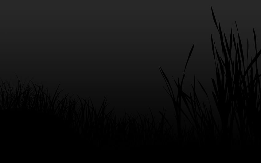 10 Black Background [] for your , Mobile & Tablet. Explore Black. Black  Background , Black And White , Dark for , Black Grass HD wallpaper | Pxfuel
