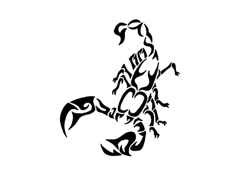 Tribal scorpion tattoos HD wallpapers | Pxfuel