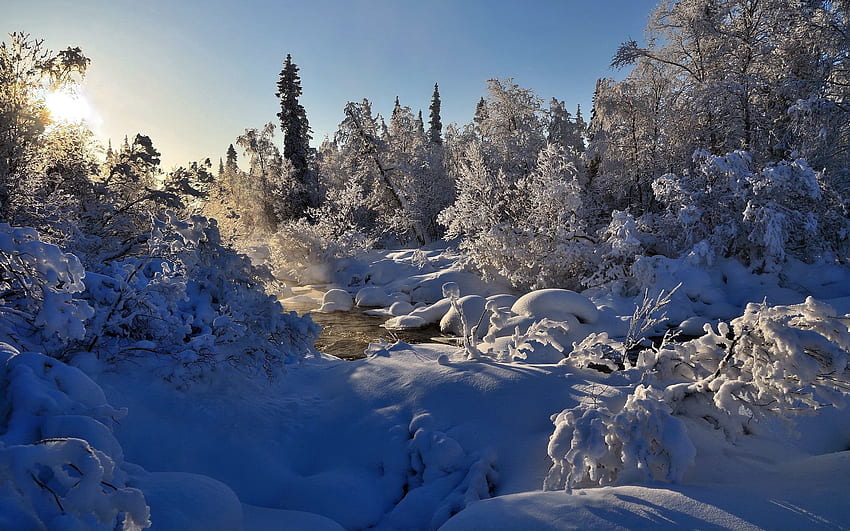 Зима, природа, реки, дървета, сняг, пара HD тапет