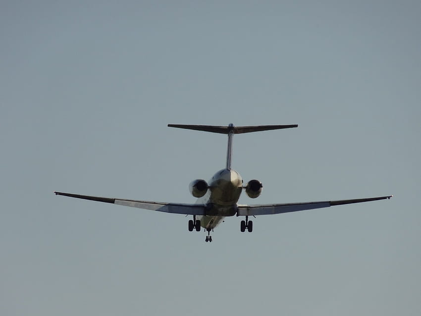 Jet Flyby, jet, pesawat, pesawat komersial, terbang lewat Wallpaper HD
