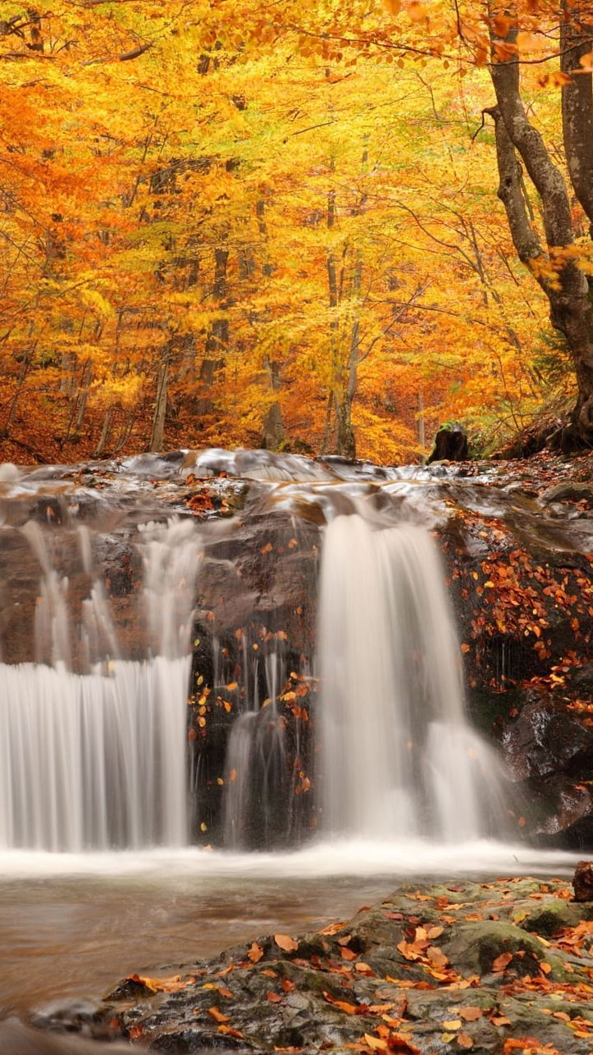 Autumn, wood, leaf fall, falls, cascades, Autumn Waterfall HD phone  wallpaper | Pxfuel