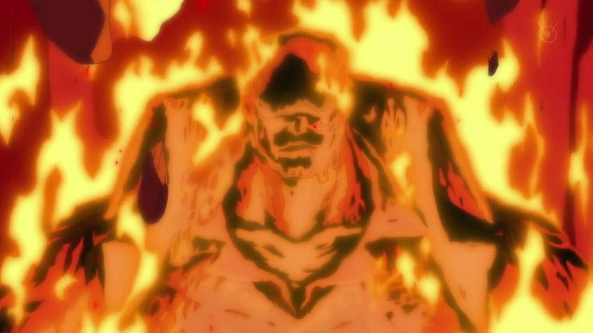 Rukia Kuchiki (Bleach) vs. Sakazuki Akainu (One Piece) - Battles HD wallpaper