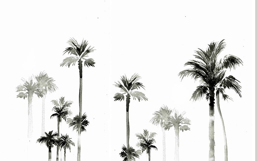 Summer . • for iphone •. Palm, Black and White Palm Tree HD wallpaper