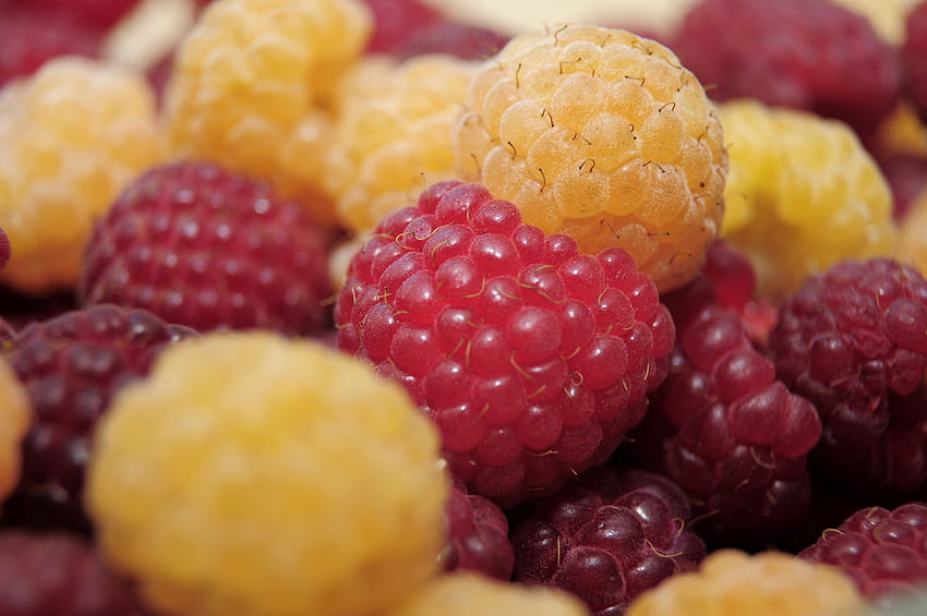 Raspberry, Berries, Macro, Sweet, Ripe HD wallpaper