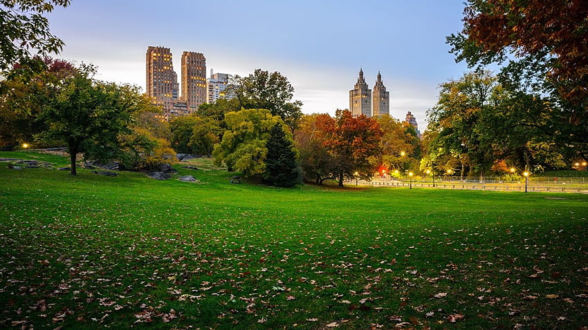 New York City USA Central Park Naturparks Gras HD-Hintergrundbild