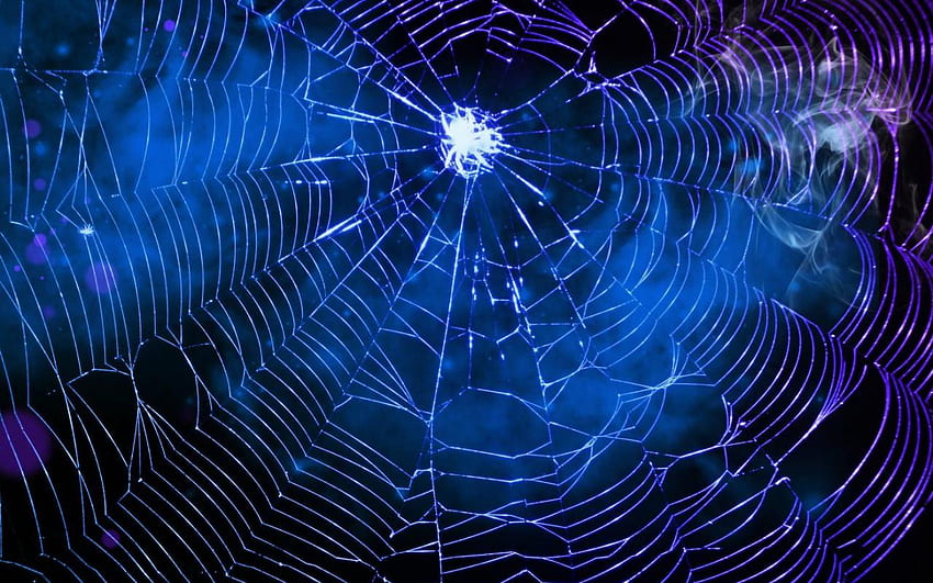 Jaring Spider Man , Spider Man Biru Wallpaper HD