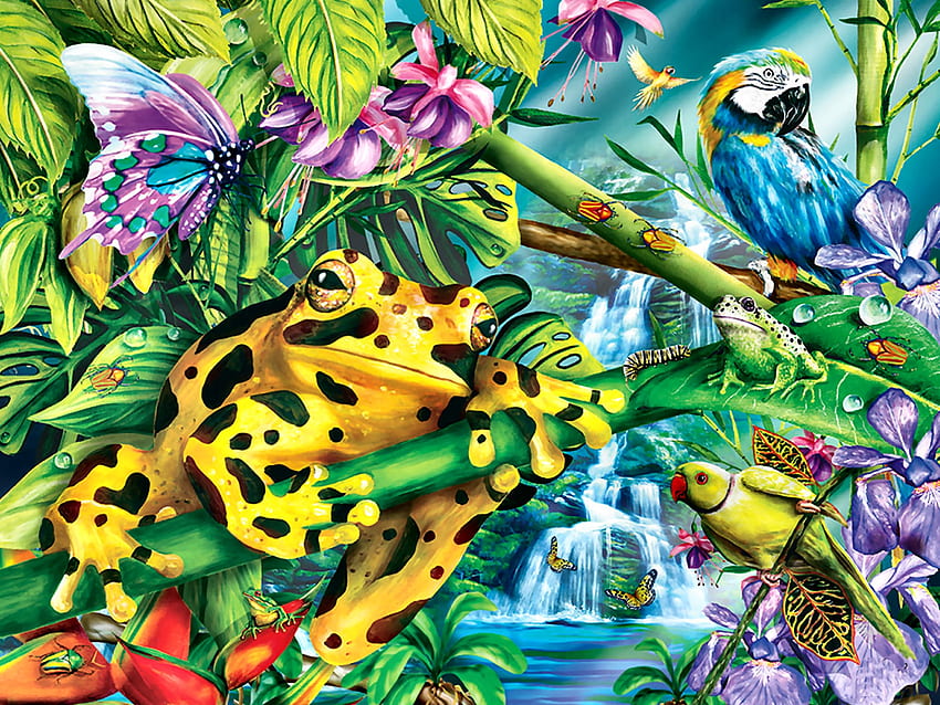 Rainforrest Friends, animal, songbirds, art, beautiful, illustration, artwork, butterflies, wide screen, wildlife, painting, frogs, nature HD wallpaper
