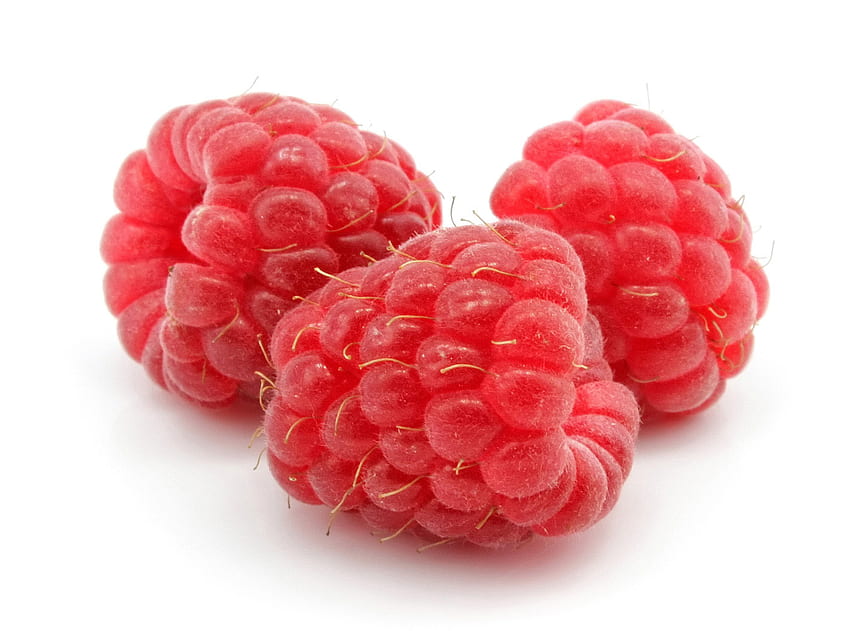 Raspberry , Food Raspberry HD wallpaper | Pxfuel